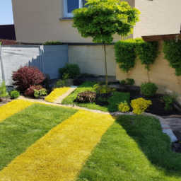 Abattage : enlevez les arbres dangereux ou indésirables de votre jardin en toute sécurité Carvin